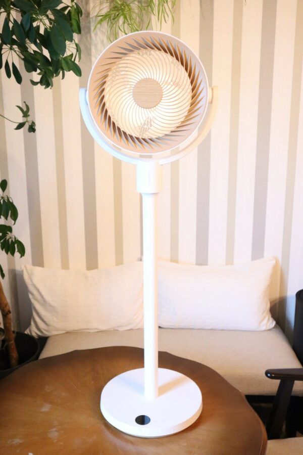 Switchbot Standing Circulator Fan Test Groesse 2 Switchbot Standing Circulator Fan Test Groesse 2