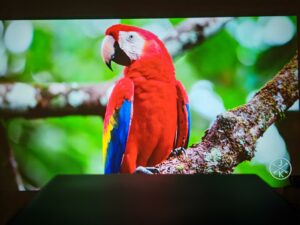 Wanbo X5 Pro 2025 85 Zoll 9 Wanbo X5 Pro 2025 85 Zoll 9