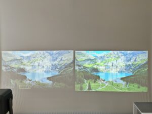 Oscal PV800 Pro vs Blackview PV1000 Max 10 Oscal PV800 Pro vs Blackview PV1000 Max 10