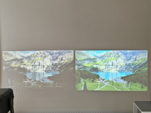 Oscal PV800 Pro vs Blackview PV1000 Max 11 Oscal PV800 Pro vs Blackview PV1000 Max 11
