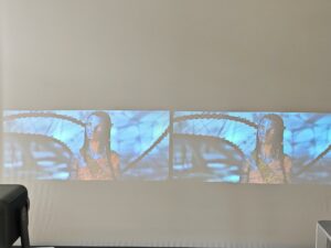 Oscal PV800 Pro vs Blackview PV1000 Max 19 Oscal PV800 Pro vs Blackview PV1000 Max 19