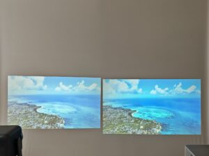 Oscal PV800 Pro vs Blackview PV1000 Max 5 Oscal PV800 Pro vs Blackview PV1000 Max 5