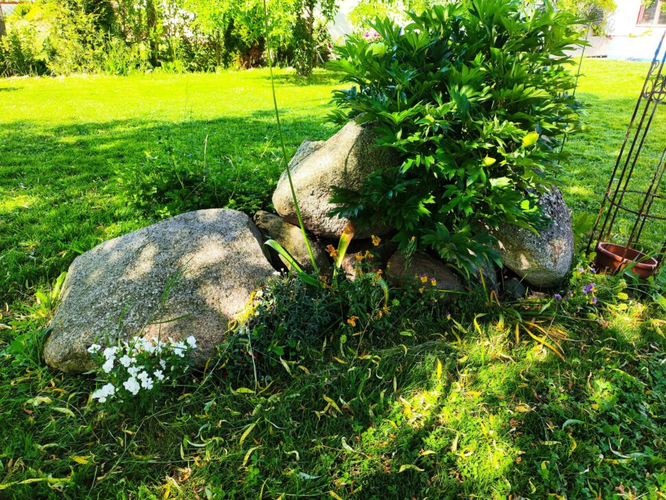 Ecovacs Goat A1600 LiDAR Pro Testgarten 1 Ecovacs Goat A1600 LiDAR Pro Testgarten 1