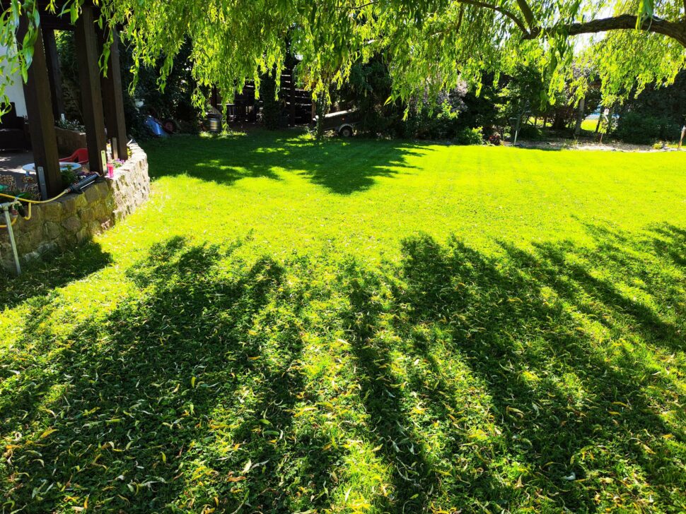 Ecovacs Goat A1600 Lidar Pro Praxis Garten 1 Ecovacs Goat A1600 Lidar Pro Praxis Garten 1