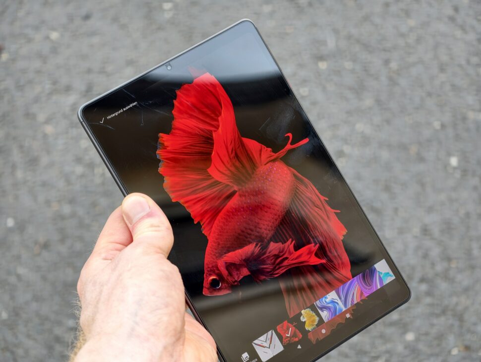 Headwolf Titan 1 Frontansicht Betta Wallpaper Headwolf Titan 1 Frontansicht Betta Wallpaper