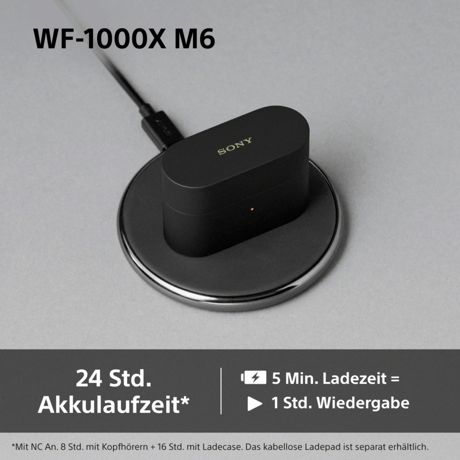 Sony WF1000MX6 Test Induction1 Sony WF1000MX6 Test Induction1