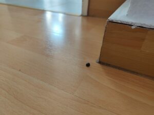Lefant M210 OMNI Test Reinigung 27 Lefant M210 OMNI Test Reinigung 27