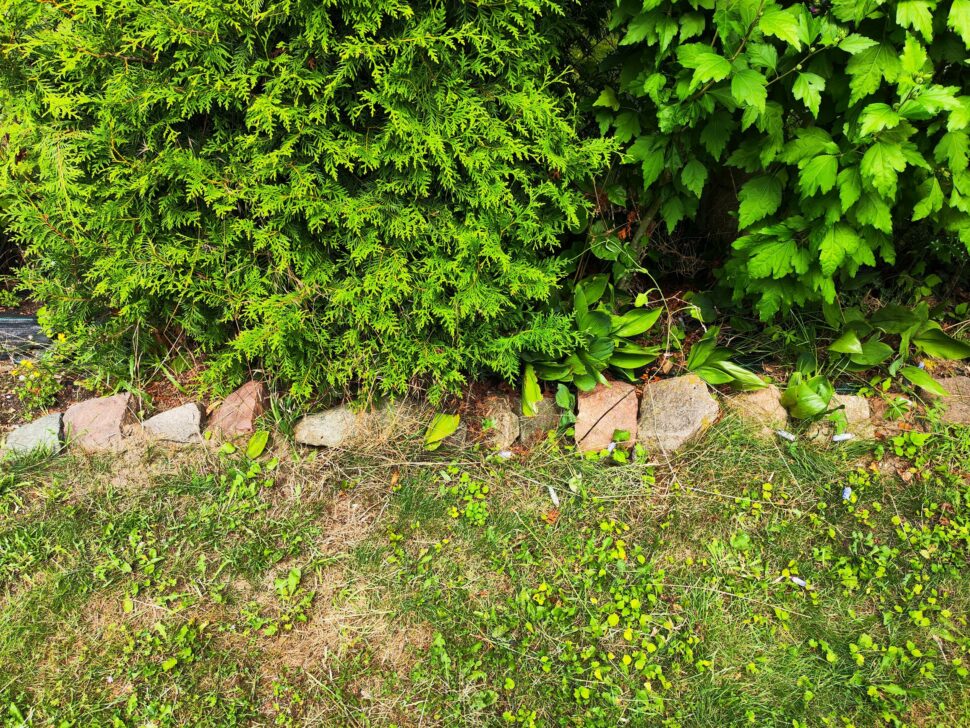 Natural Expressions P7 Testgarten 3 Natural Expressions P7 Testgarten 3