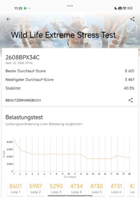 Xiaomi 18 Fold 3DMark Wild Life Extreme Stress Test Xiaomi 18 Fold 3DMark Wild Life Extreme Stress Test