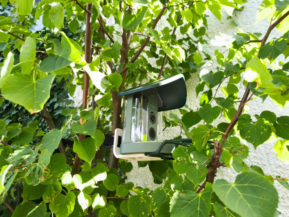 Kiwibit Smart Bird Feeder 2 31 Kiwibit Smart Bird Feeder 2 31