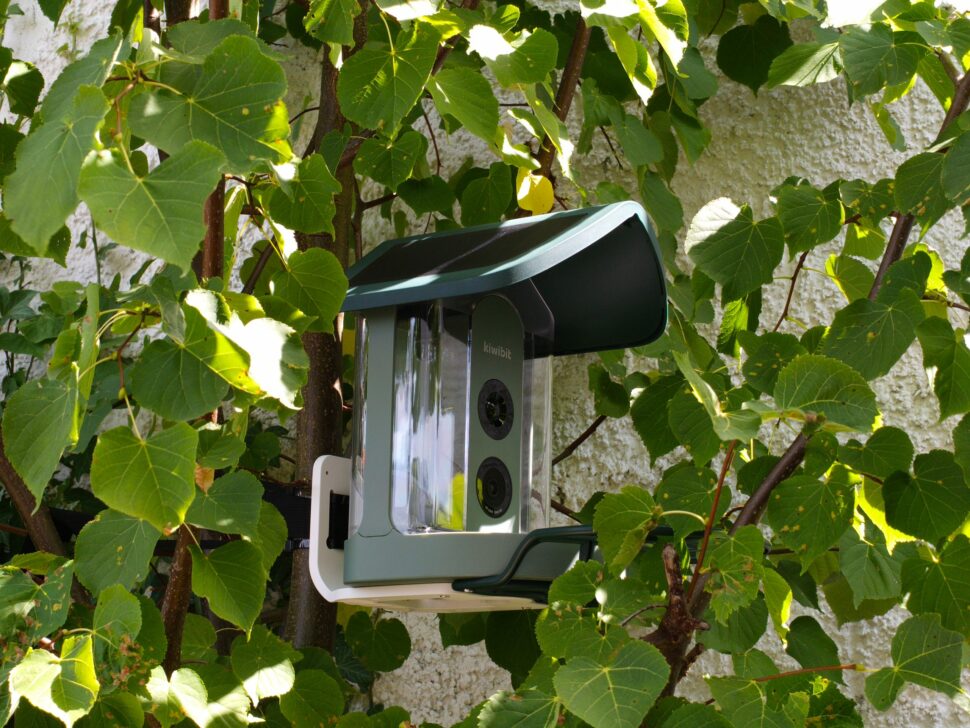 Kiwibit Smart Bird Feeder 2 35 Kiwibit Smart Bird Feeder 2 35