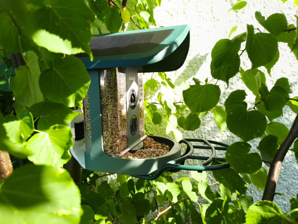 Kiwibit Smart Bird Feeder 2 37 Kiwibit Smart Bird Feeder 2 37