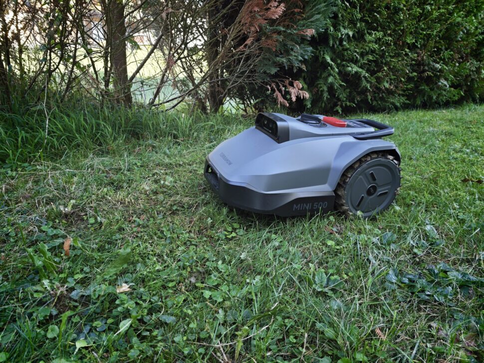 TerraMow Mini 500 Praxis Rasen TerraMow Mini 500: Praxis Rasen