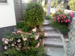 losless testbild Oukitel C15 Pro Kamera 5